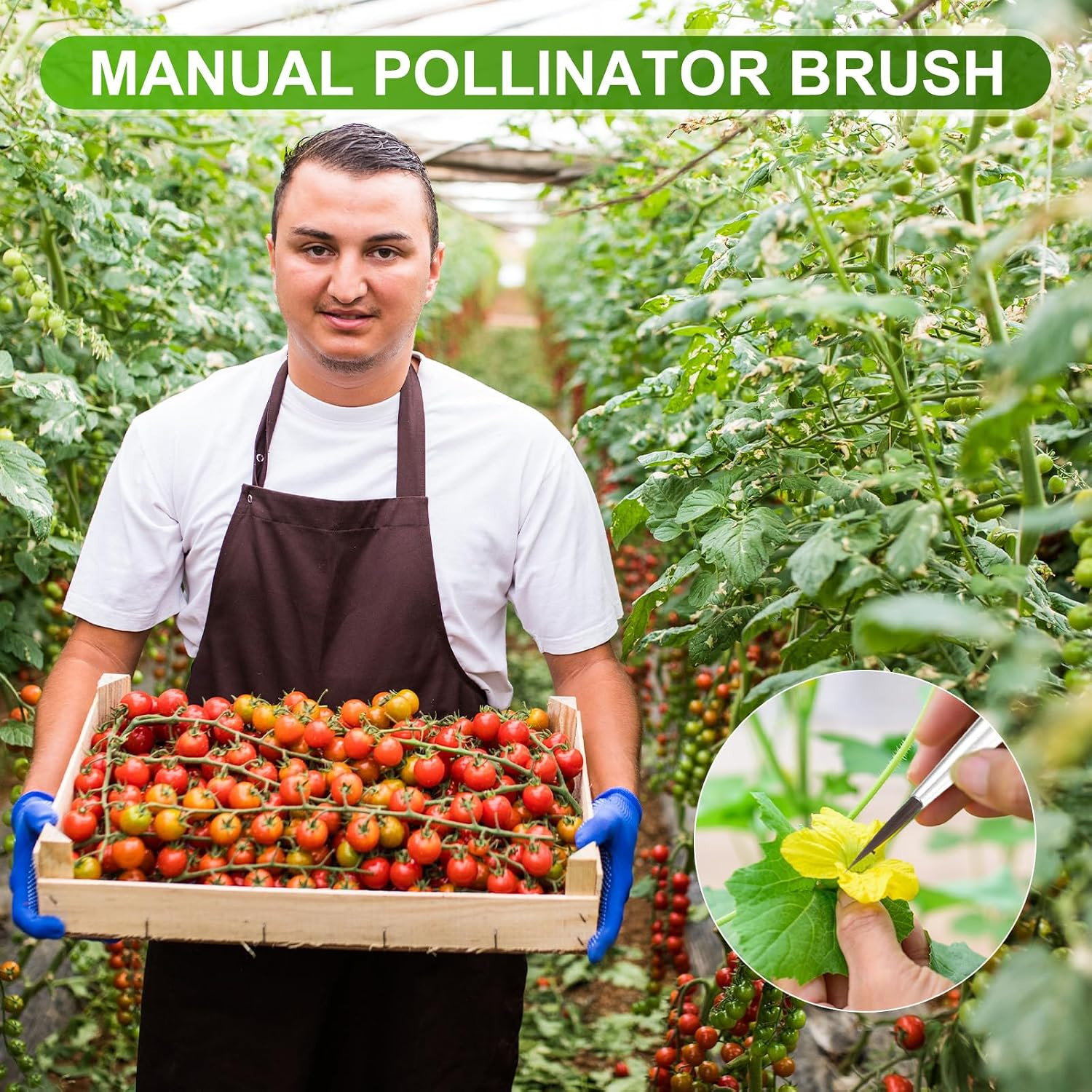 10-Pack Pollinator Brush, 0.5Inch/1.2Cm Wooden Vegetable Pollinator Pen Manual P