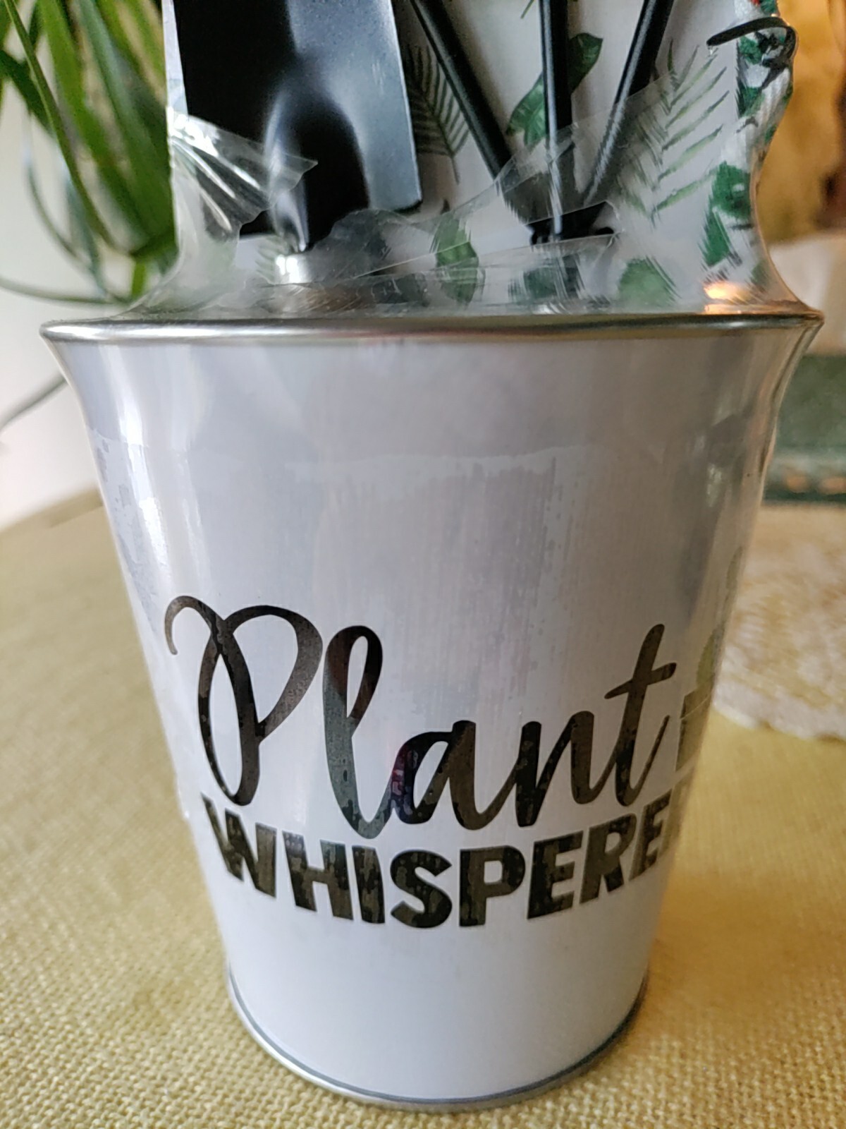 Plant Gift Set-Mini Garden Tool Set with Table Top Decor NEW!!