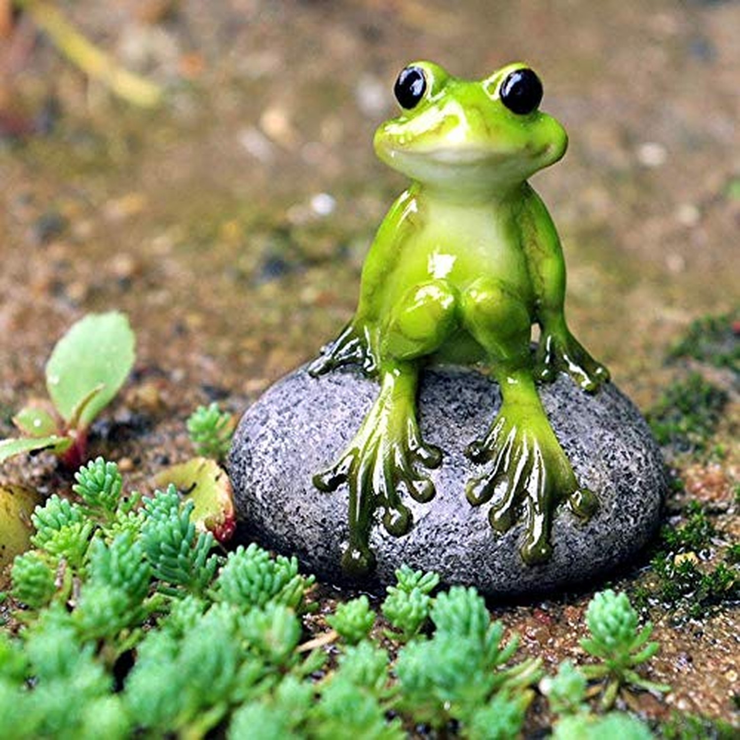 Top Collection 2.725-Inch Miniature Fairy Garden and Terrarium Cute Frog on S…
