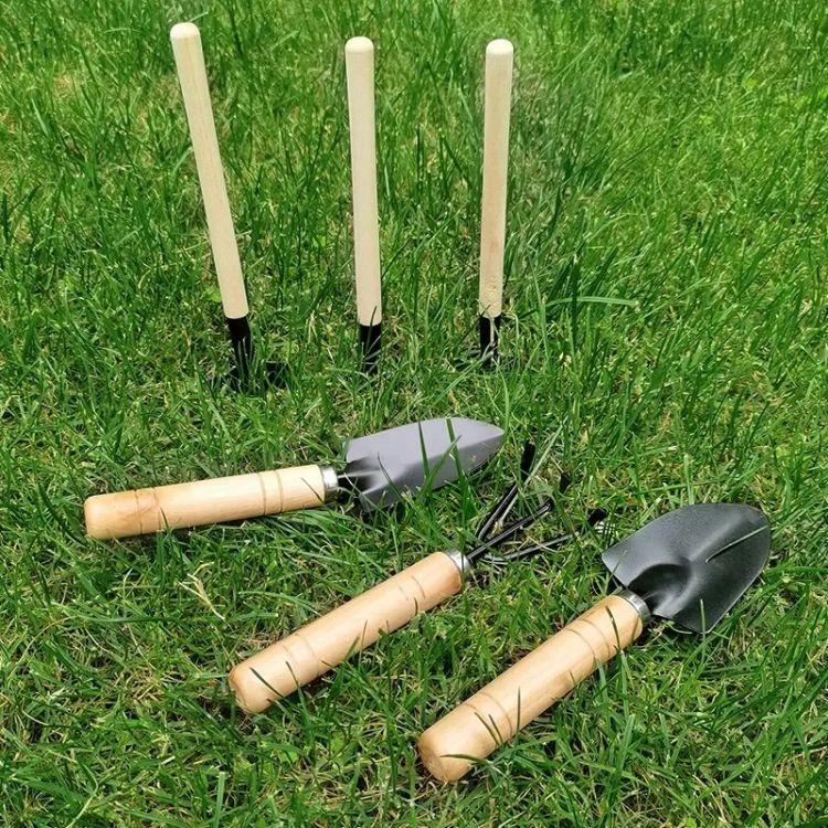 3pcs Mini Garden Tools Set for Planting, Digging, Weeding & Pot Gardening