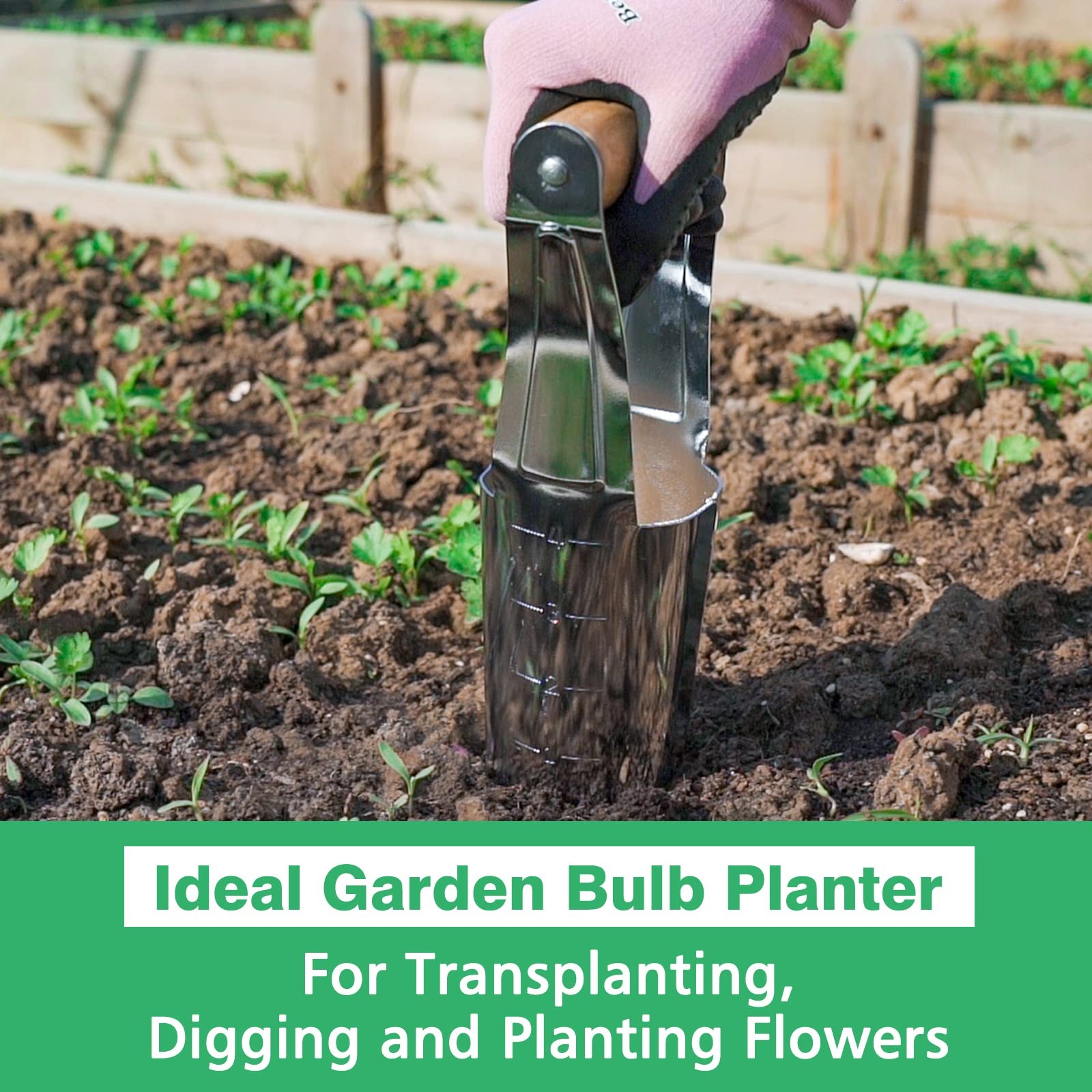 Garden Bulb Planter with 4 Inches Depth Mark, Stainless Steel Gardening Bulb …