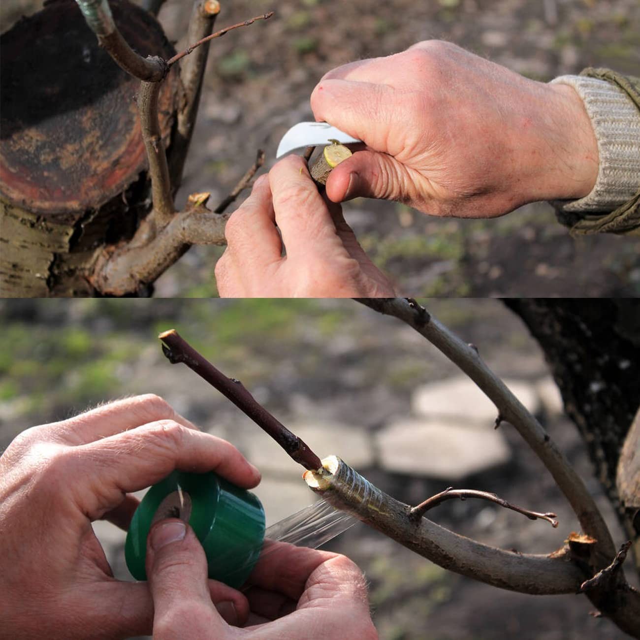 Double Blades Garden Knife for Budding Pruning with 3 Rolls Grafting Tape, Fl…