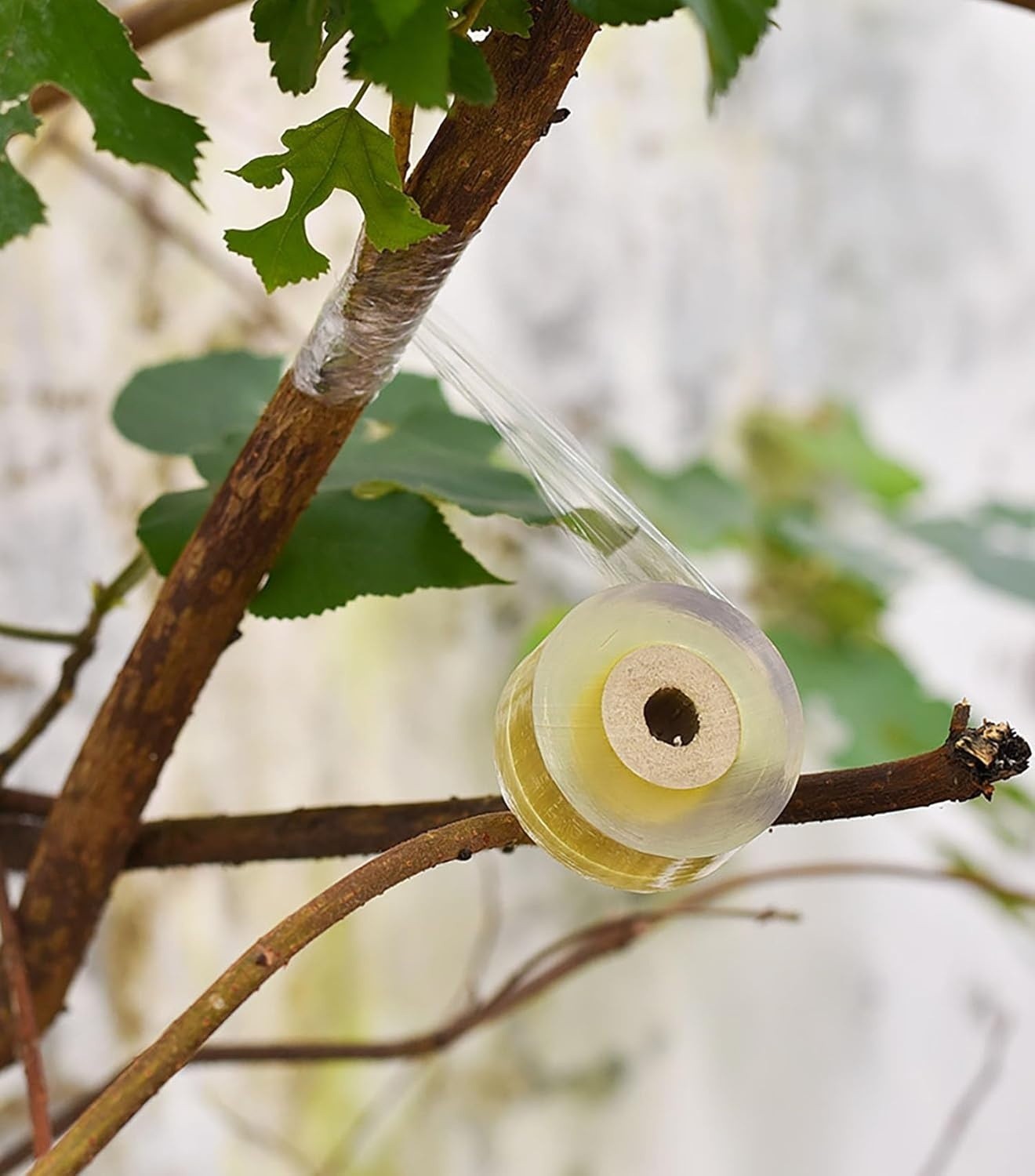 1.2 inch Grafting Tape For Floral Fruit Trees Stretchable Garden Grafting Tape