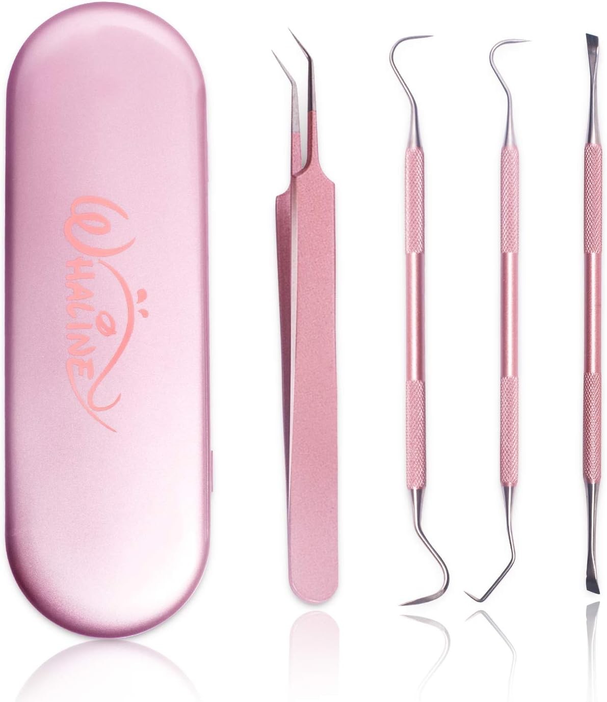 4-Piece Stainless Steel Precision Weeding Tools Set for Garden Use
