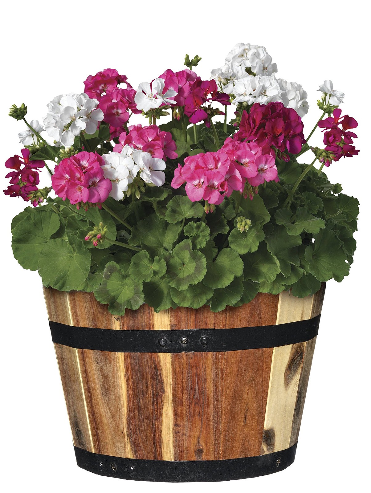 Classic Home & Garden Classic Home And Garden By Growscape 5/800/3 Wood Barrel