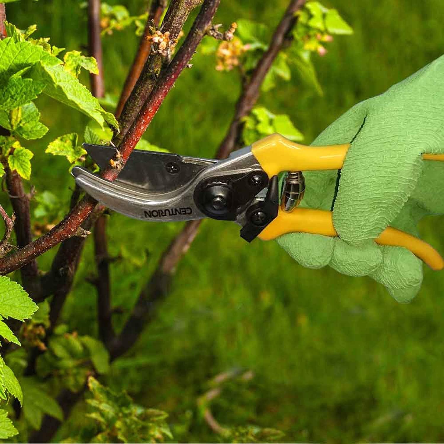 Precision Gardening Set: Lopper, Hedge Shears & Pruner – Effortless Cutting
