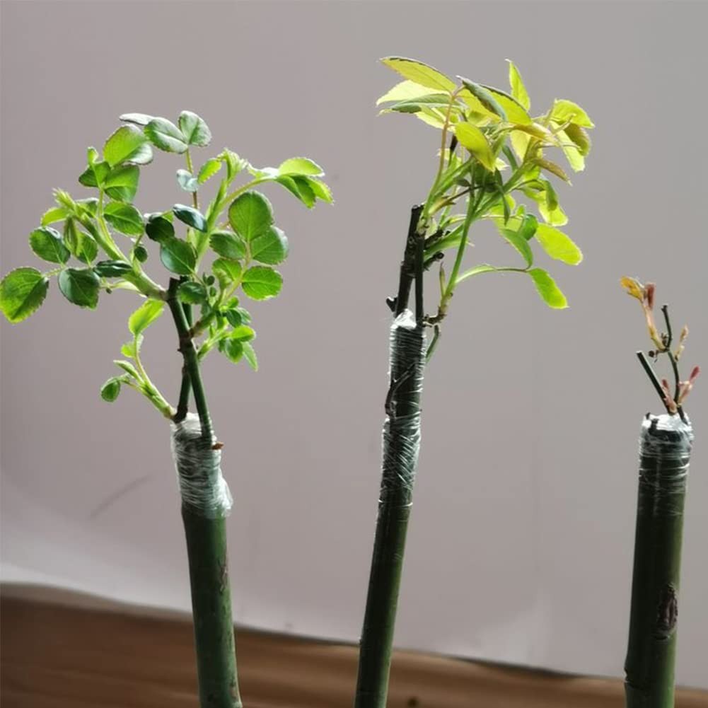 Grafting Tape Grafting Film for Plants, 2 Pack Stretchable Garden Grafting Ta…