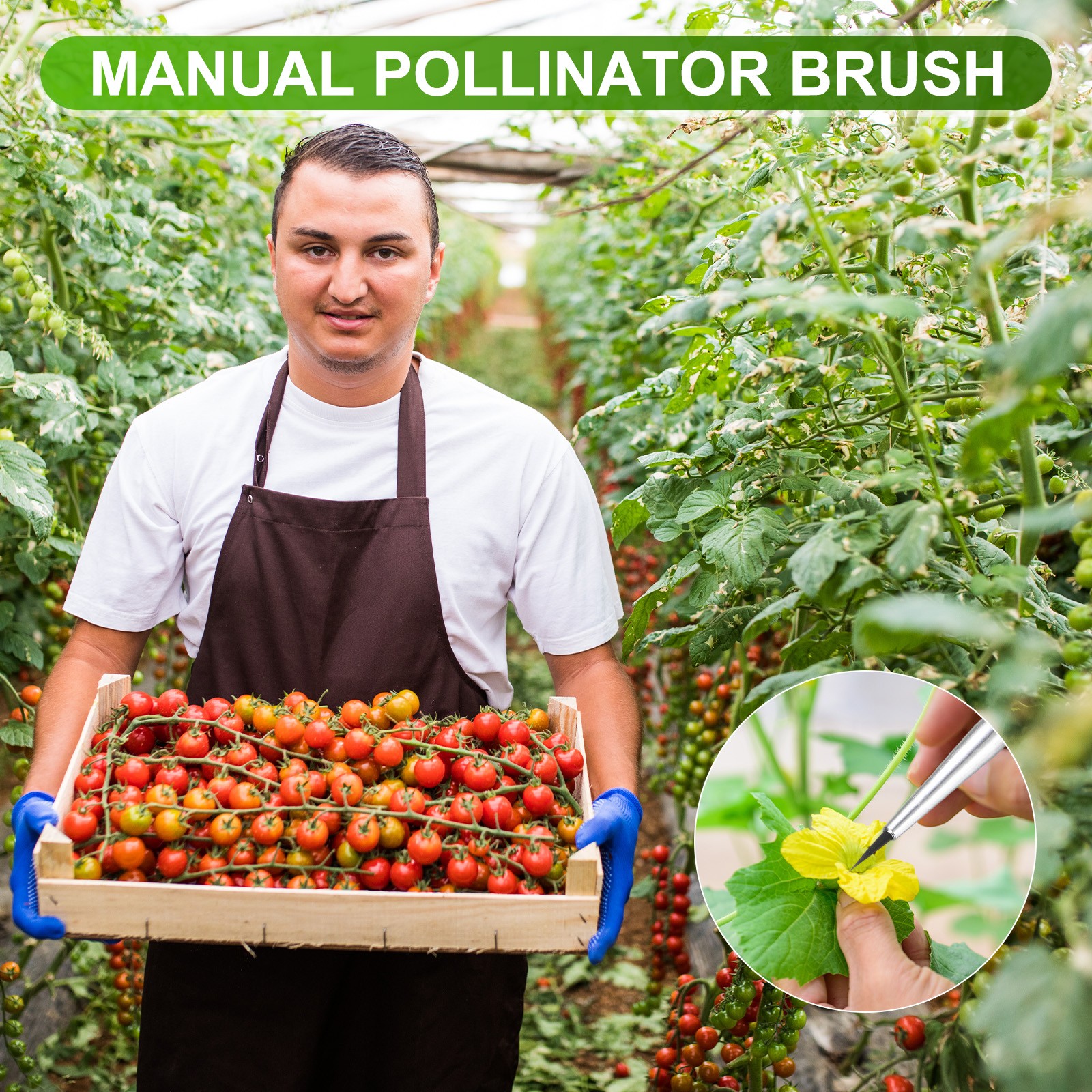 10-Pack Pollinator Brush, 0.24inch/0.6cm Wooden Vegetable Pollinator Pen [Blue]