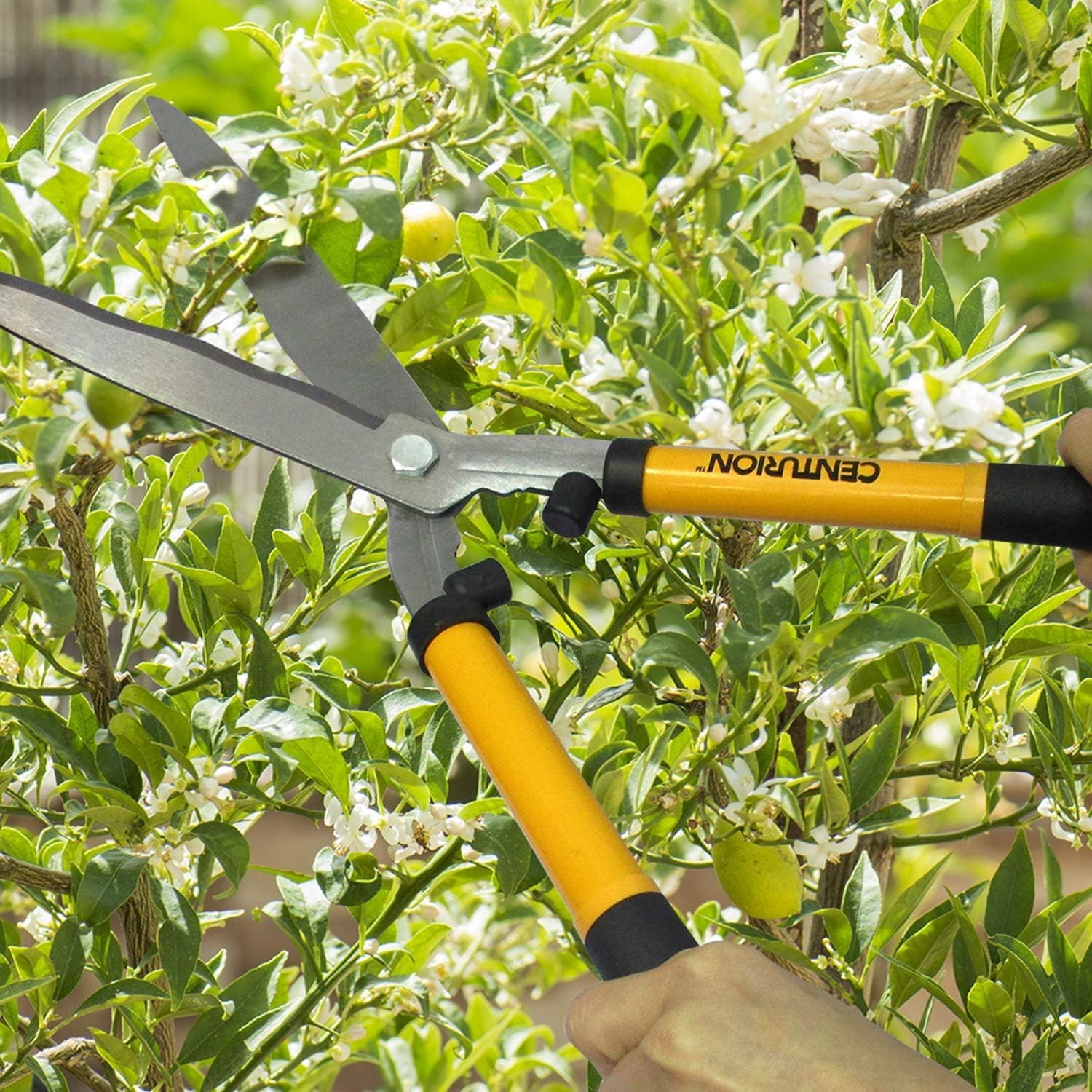 Precision Gardening Set: Lopper, Hedge Shears & Pruner – Effortless Cutting