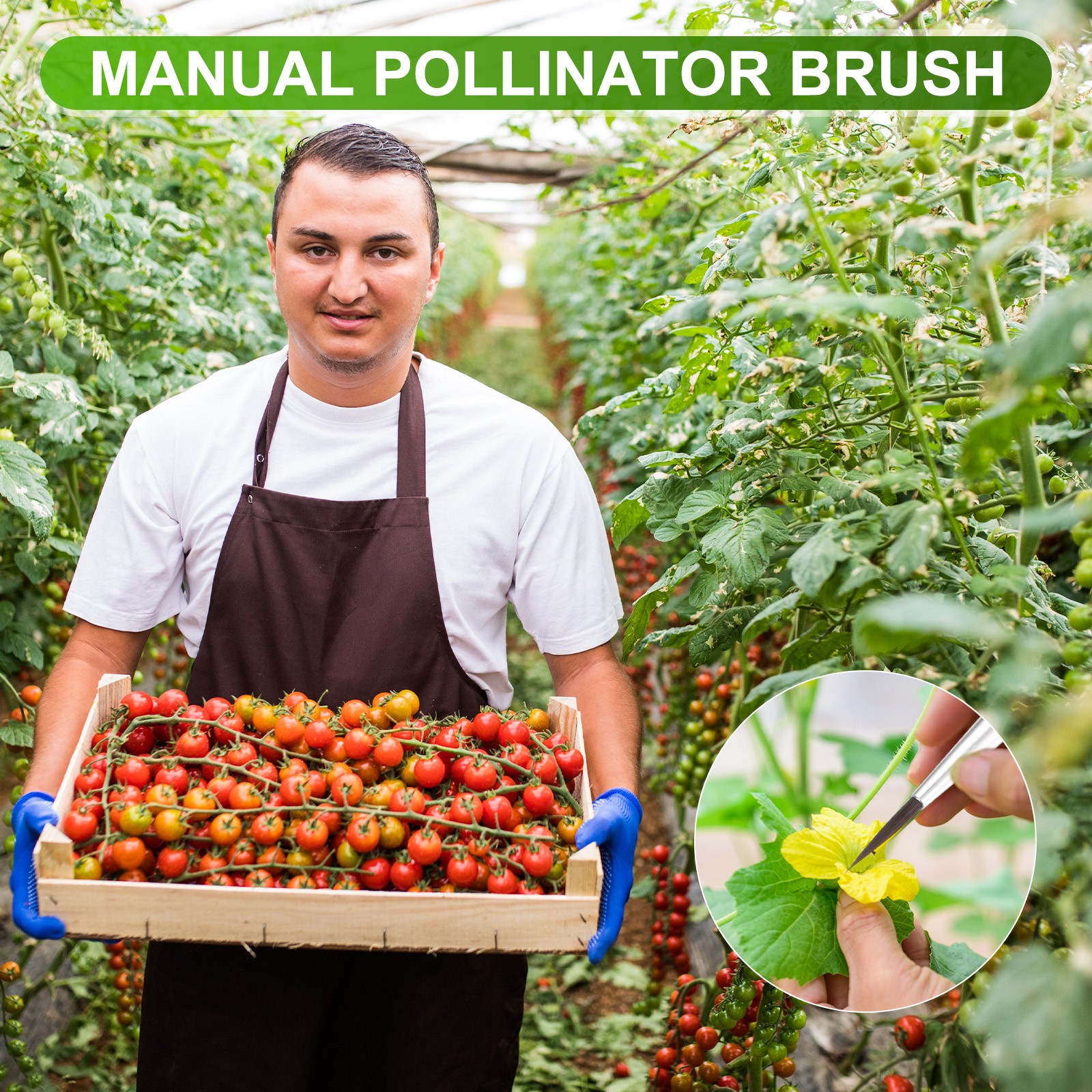 10-Pack Pollinator Brush, 0.5inch/1.2cm Wooden Vegetable Pollinator Pen [Beige]