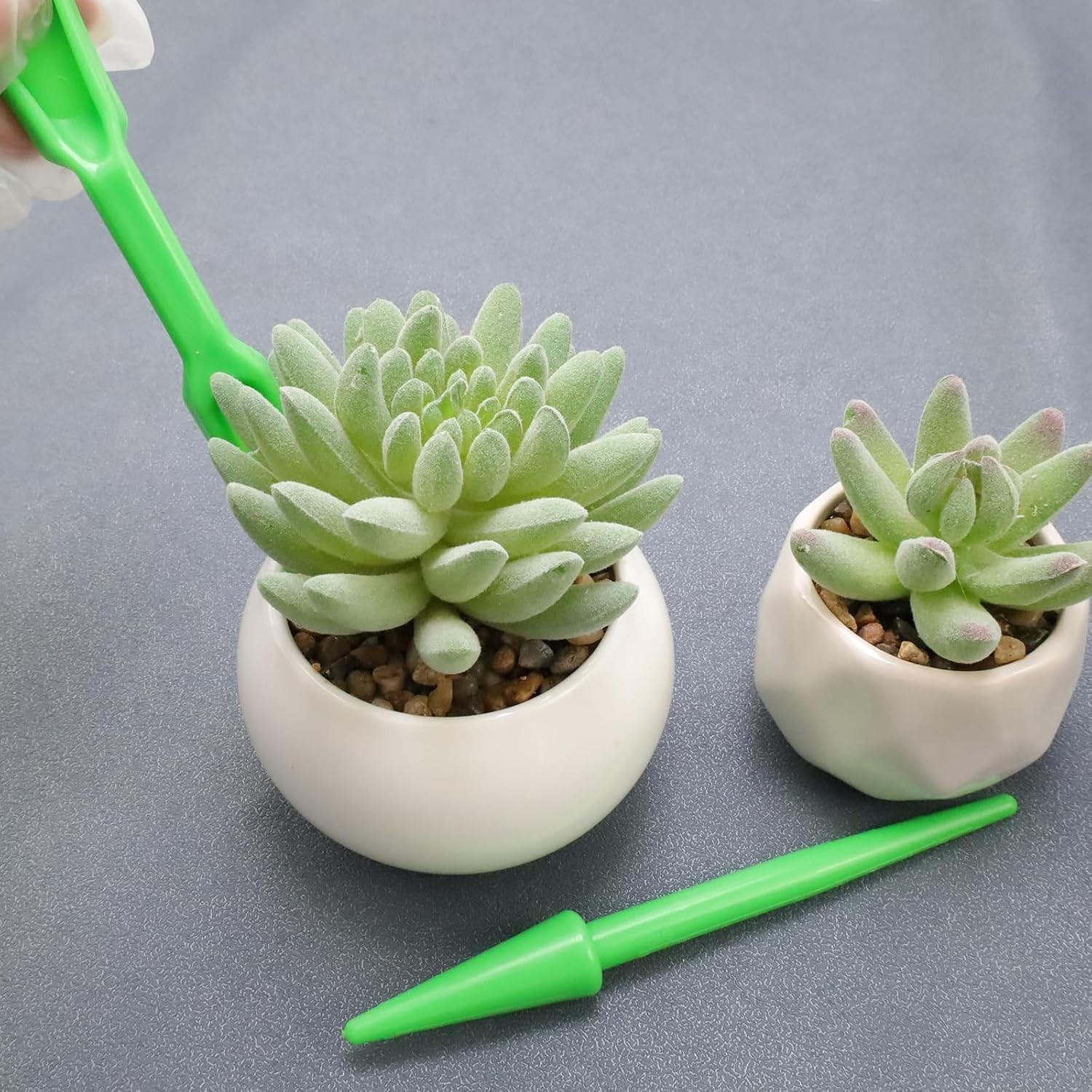 Durable Mini Garden Tools Set – 6 Rust Resistant Transplanting Essentials, Green