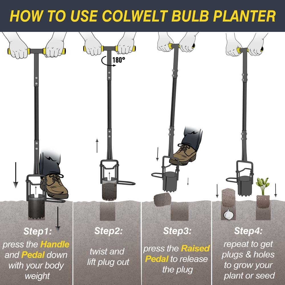 Colwelt Bulb Planter Tool Long Handle Serrated Base Gardening Bulb Transplant