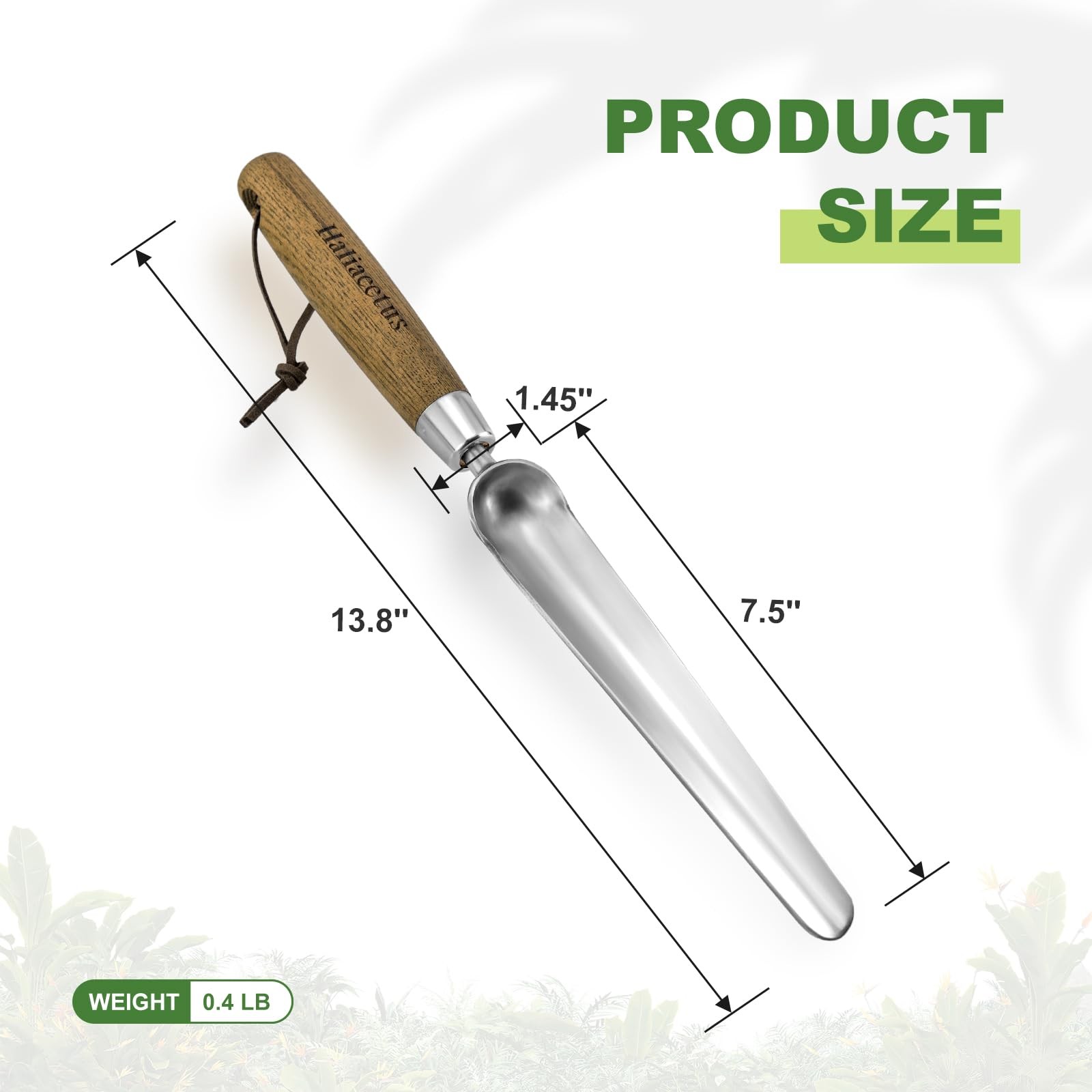 Stainless Steel Seeding Widger Garden Planting Trowel Long Narrow Wood Handle