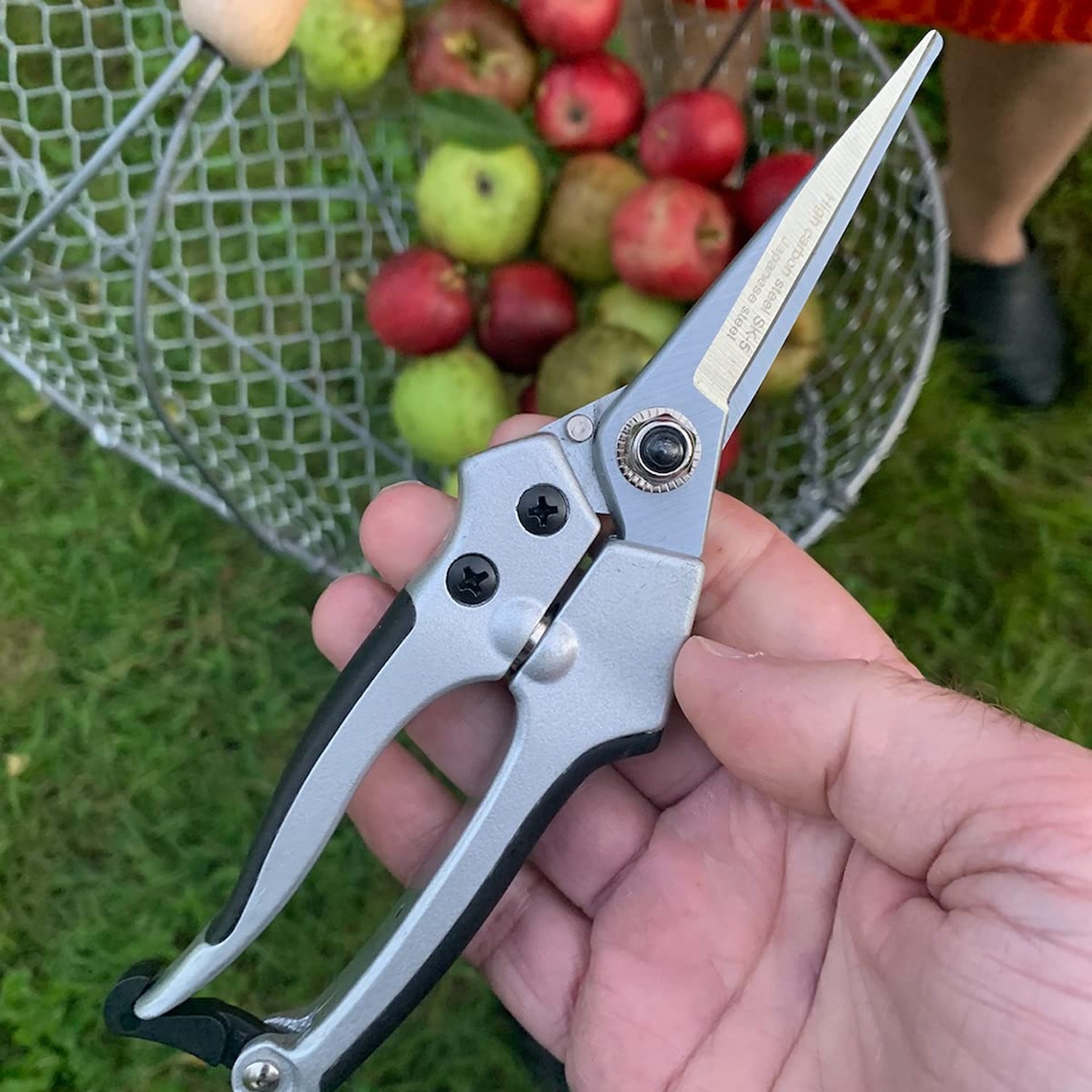 Kings County Tools Hand Gardening and Landscaping Pruner Tool Set | Wet Wood …