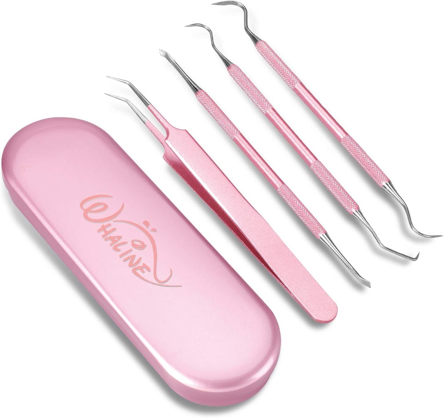 4-Piece Stainless Steel Precision Weeding Tools Set for Garden Use
