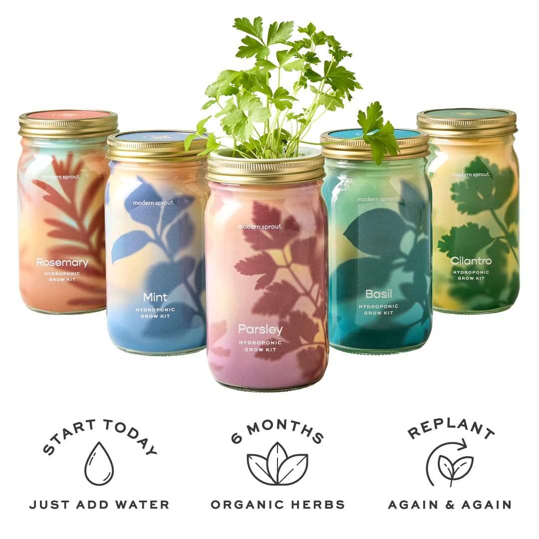 Modern Sprout Mason Garden Jar – Growing System Kit W/Organic Herb
