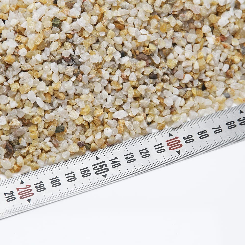 10lbs Coarse Decorative Sand for Bonsai, Succulents, Terrariums, Cactus, Garden