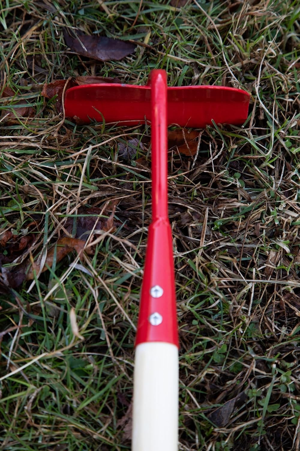 4 Piece Kids Garden Tools Set Sturdy Metal Heads for Young Gardeners Ages 5 Plus