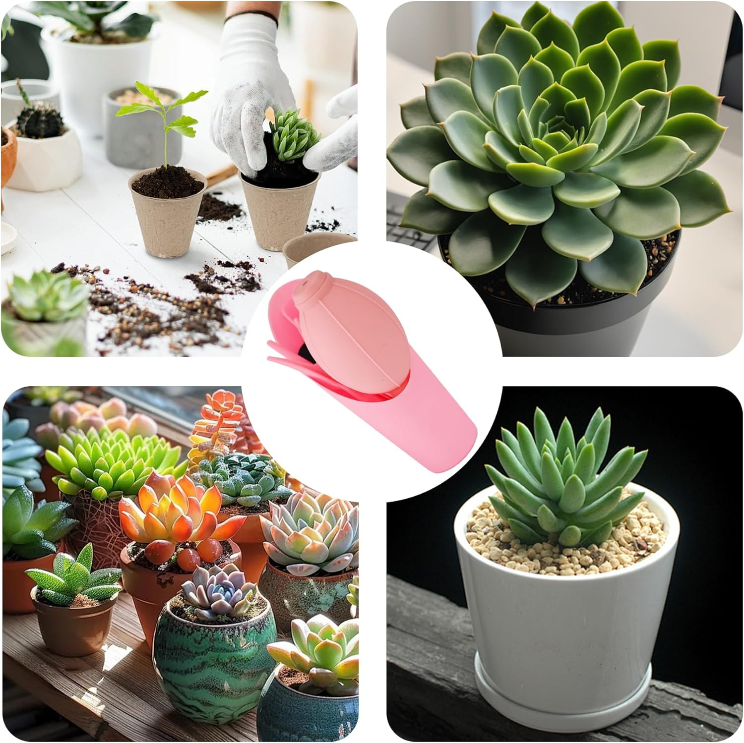 6Pcs Mini Succulent Tools Set, Garden Hand Tools Kit for Indoor Plant Care, Succ