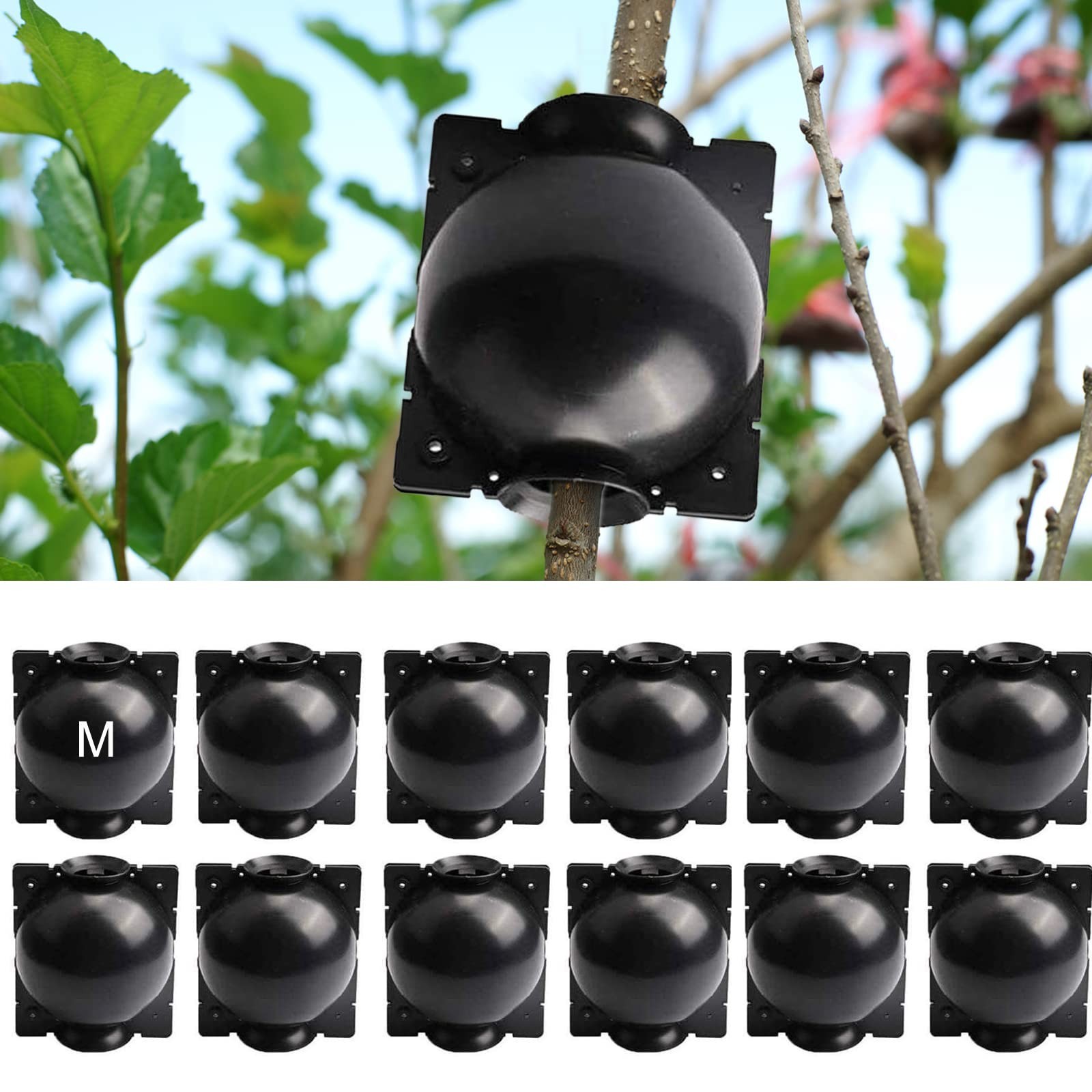12 PCS Plant Root Growing Box, Reusable Air Layering Propagation Kit Plant Ro…