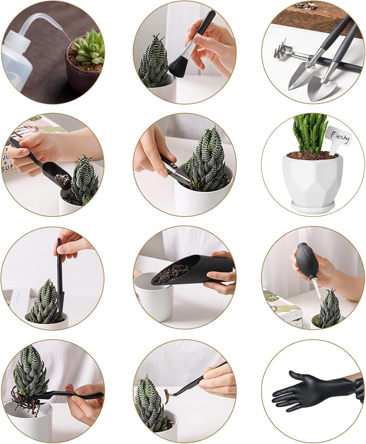 Mini Garden Hand Transplanting Succulent Tools Set
