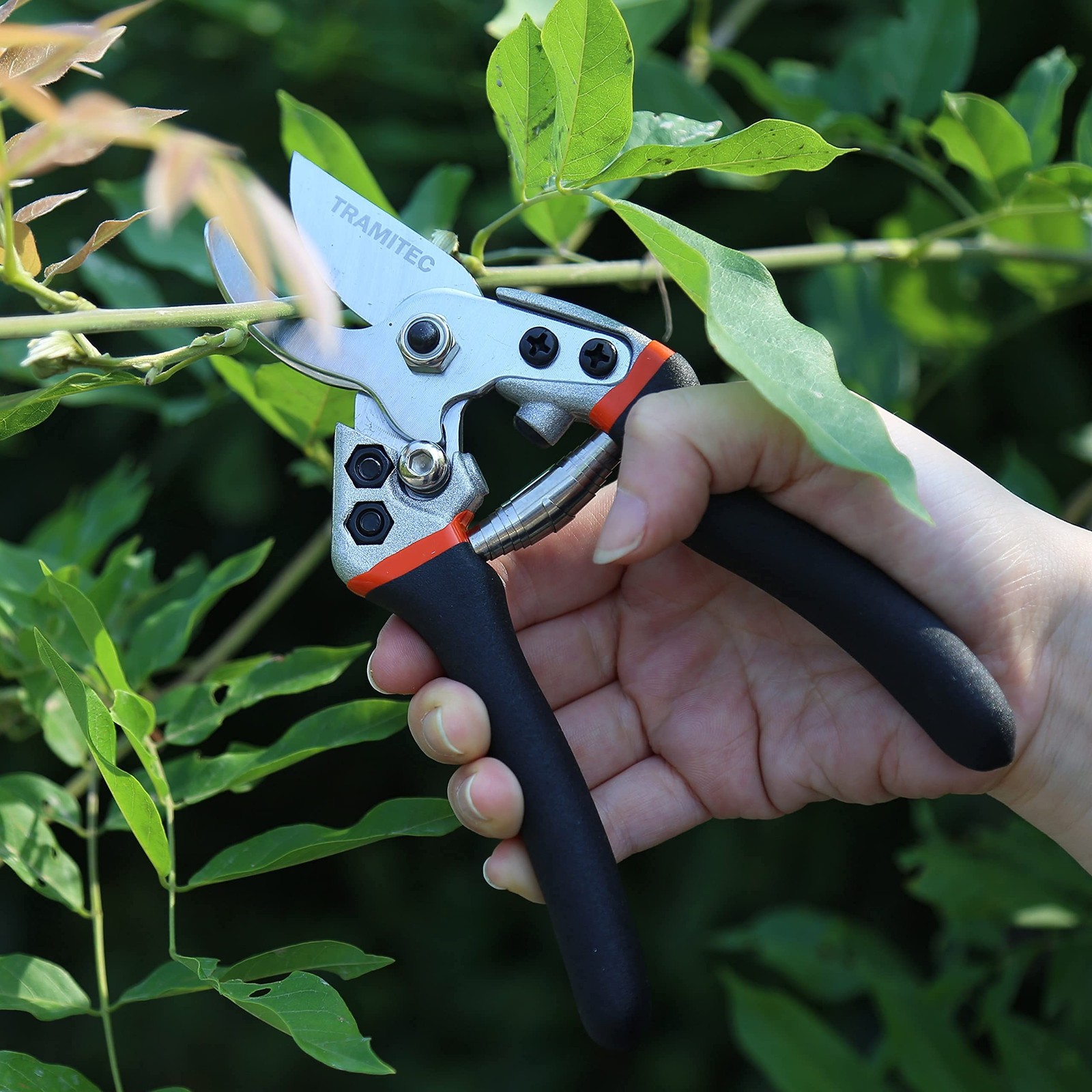 Garden Hedge Shears. Hedge Clippers & Shears SET with Super Pruning Shears. H…