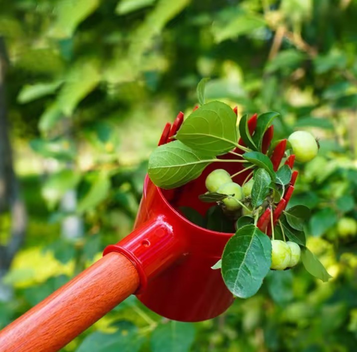 Garden Fruit Picker Tool Small Fruit Harvesting Picking Tool