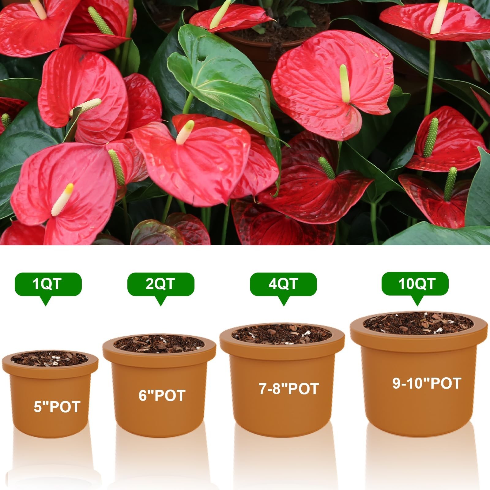 Doter All-Natural Potting Soil for Anthurium & Indoor Plants 1qt – Enhanced D…