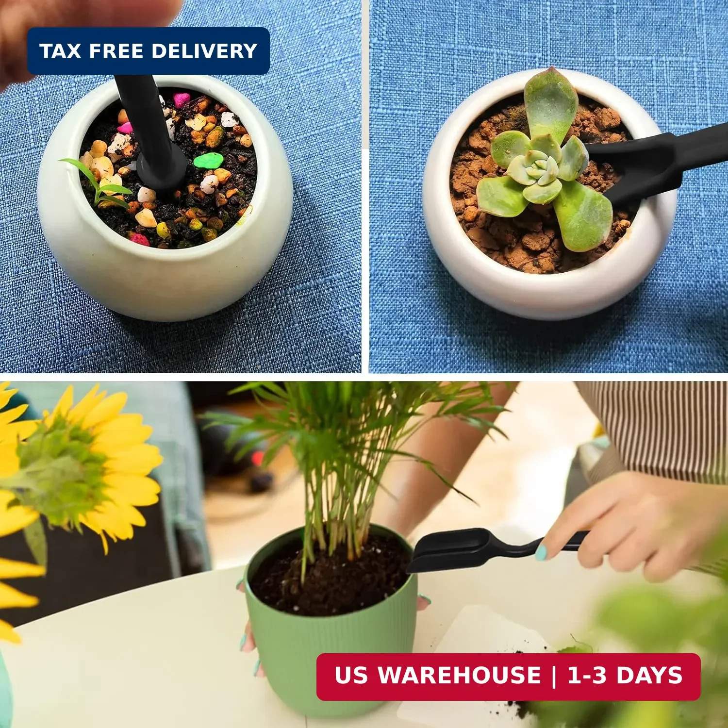 12 Pcs Succulent Tools Set Mini Transplanting Garden Tools Kit for Indoor Garden