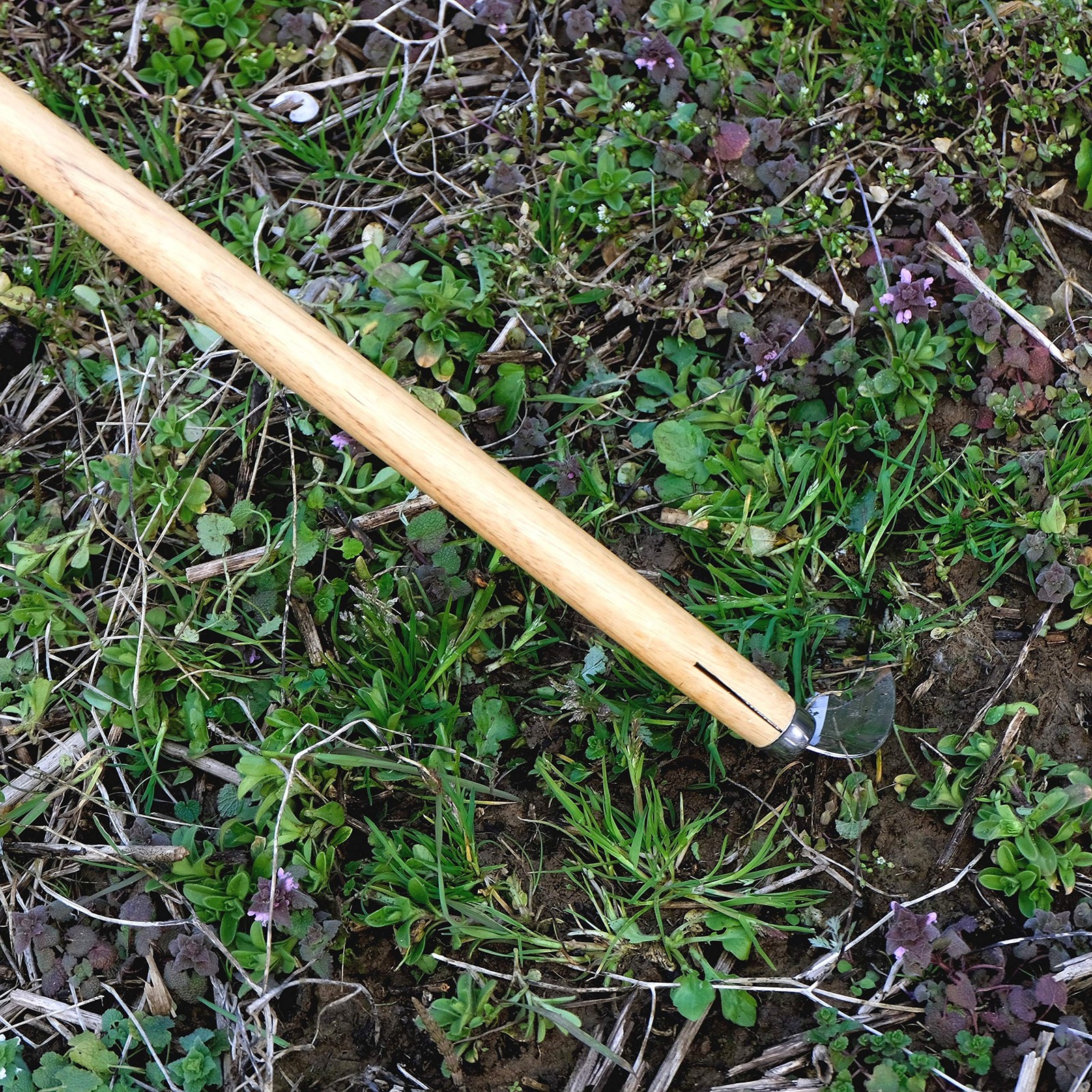 Garden Hoe Long Handle 42-3/4″ Heavy Duty Japanese Stainless Steel, Made in J…