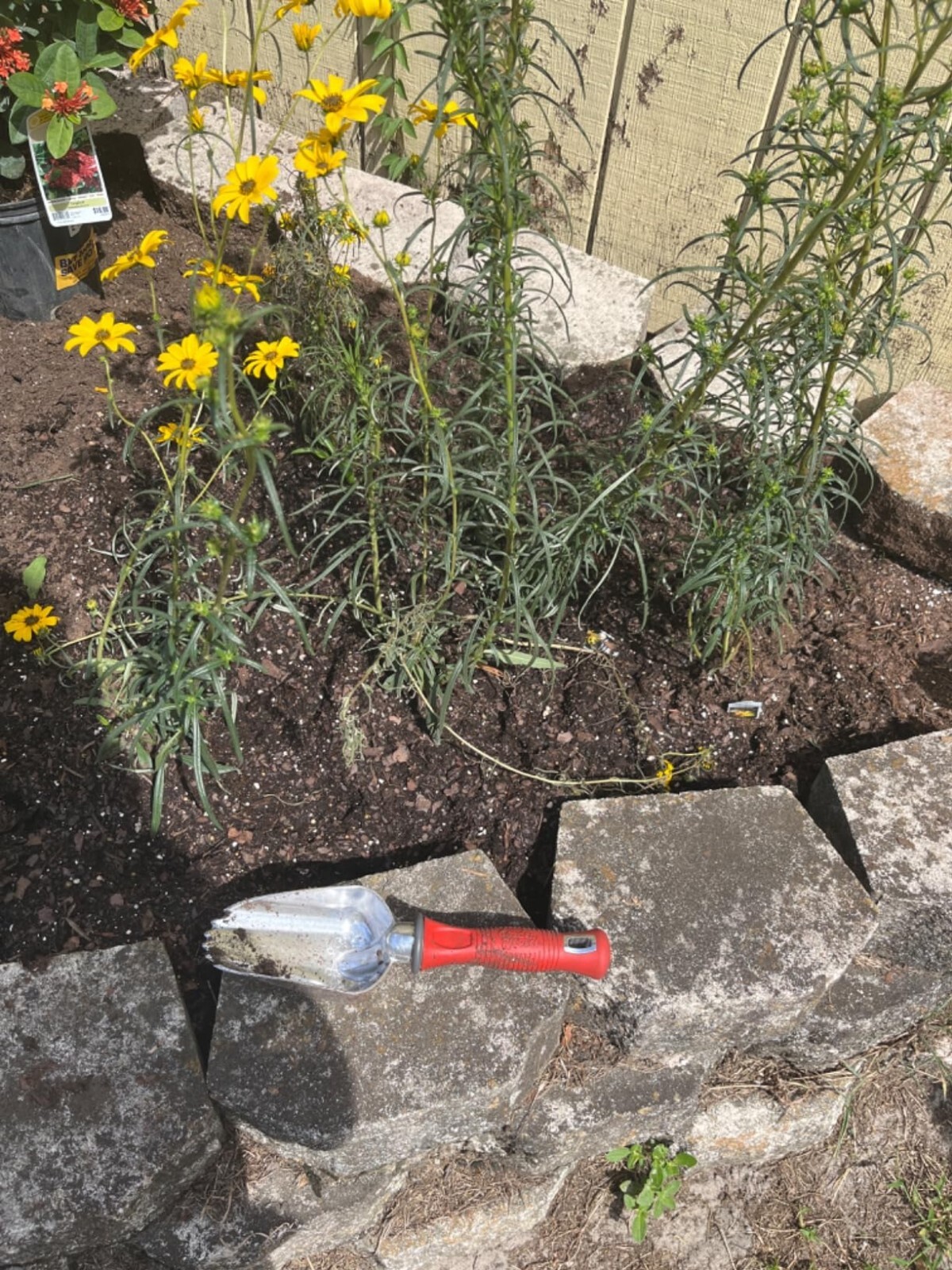 Garden Weasel 91362 Oversized Potter’s Scoop Garden Trowel – Dig and Transport