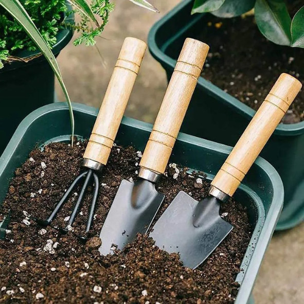 3Pcs Mini Garden Tool Set: Shovel, Trowel, Rake for Potted Plants, Succulents