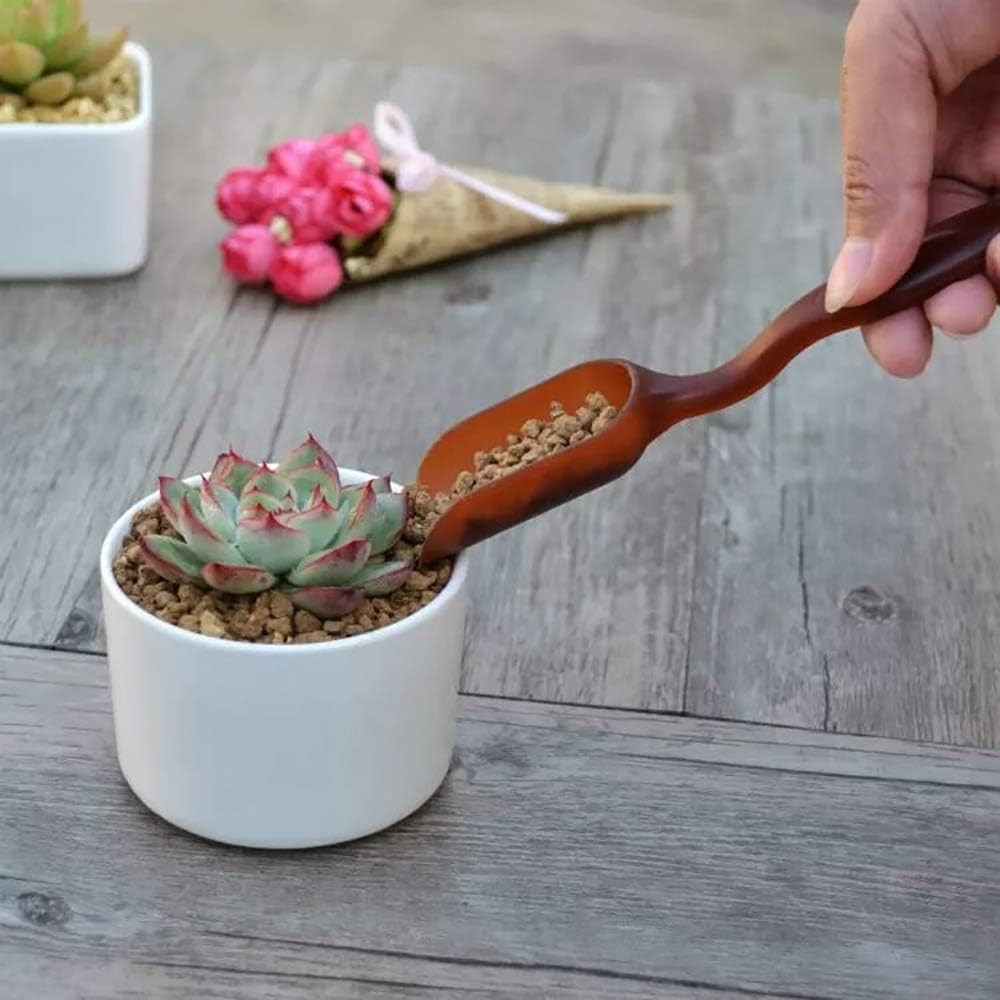 15 Pcs Succulent Plant Tools Set Mini Garden Planting Watering Tool Kit for