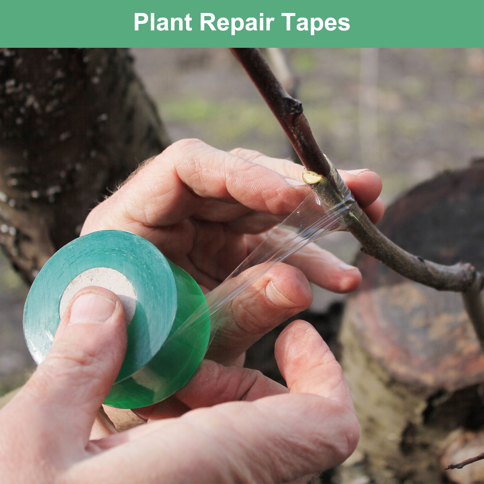 3-Pack Grafting Tape, 131yards x 1.6″( L x W) Tree Grafting Tape Per Pack