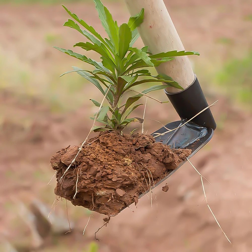 Forged Steel Garden Hoe Heavy-Duty Weeding Digging Tool for Farming & Plantiing
