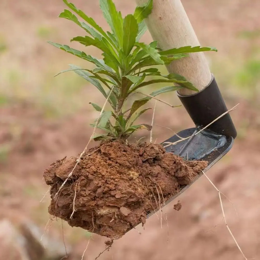 Forged Steel Garden Hoe Heavy-Duty Weeding Digging Tool for Farming & Plantiing
