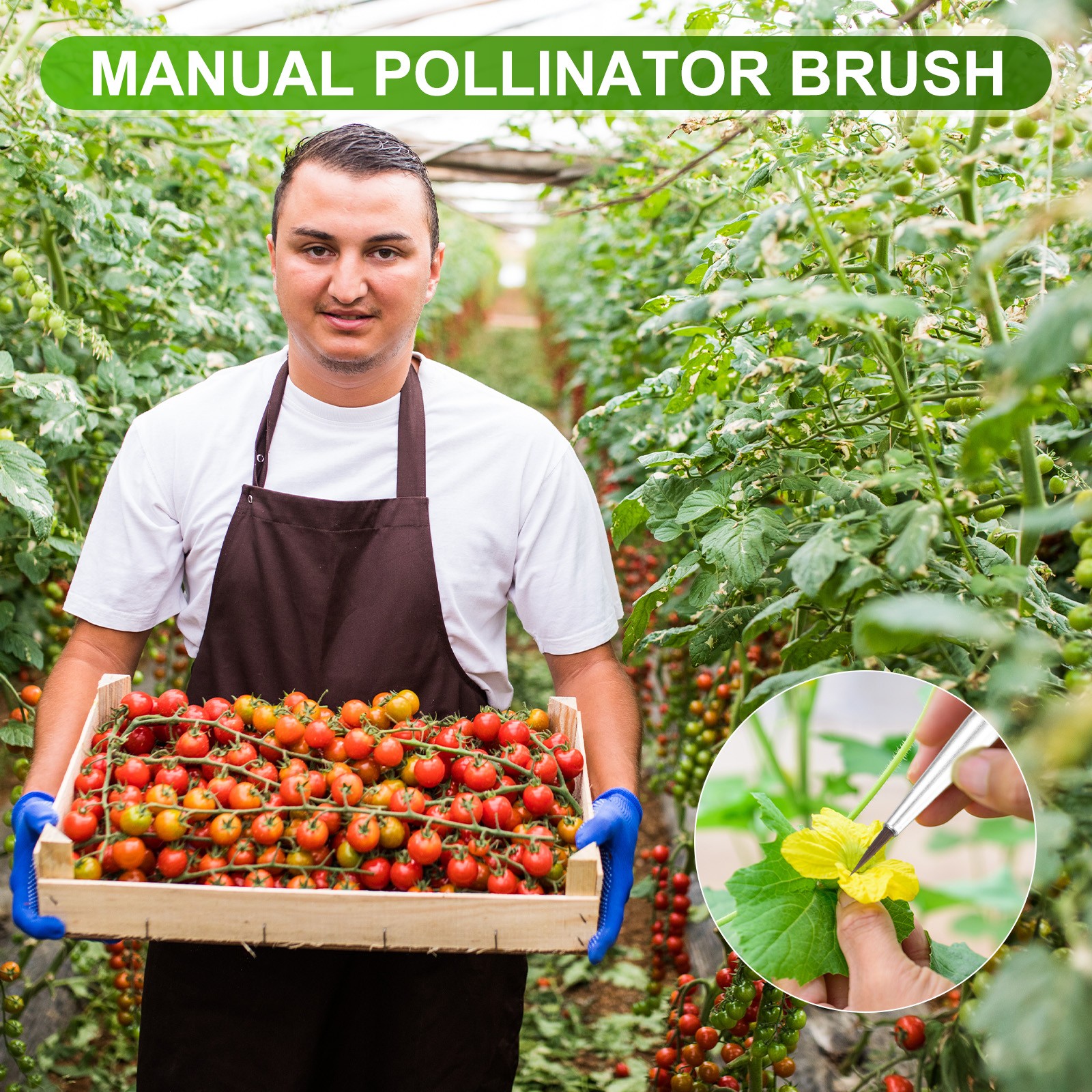 10-Pack Pollinator Brush, 0.24inch/0.6cm Wooden Vegetable Pollinator Pen [Beige]