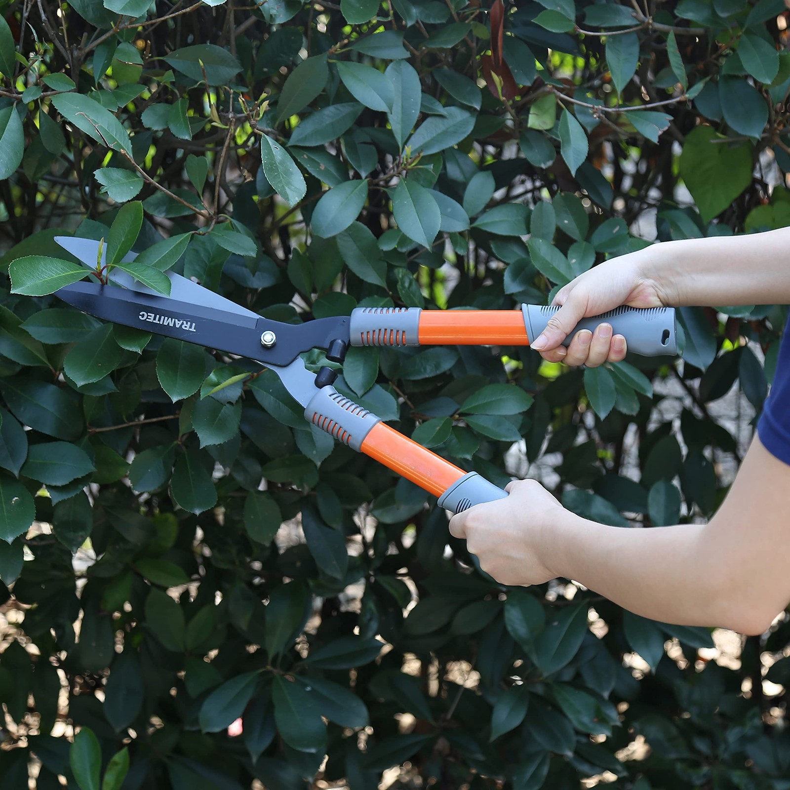 Garden Hedge Shears. Hedge Clippers & Shears SET with Super Pruning Shears. H…
