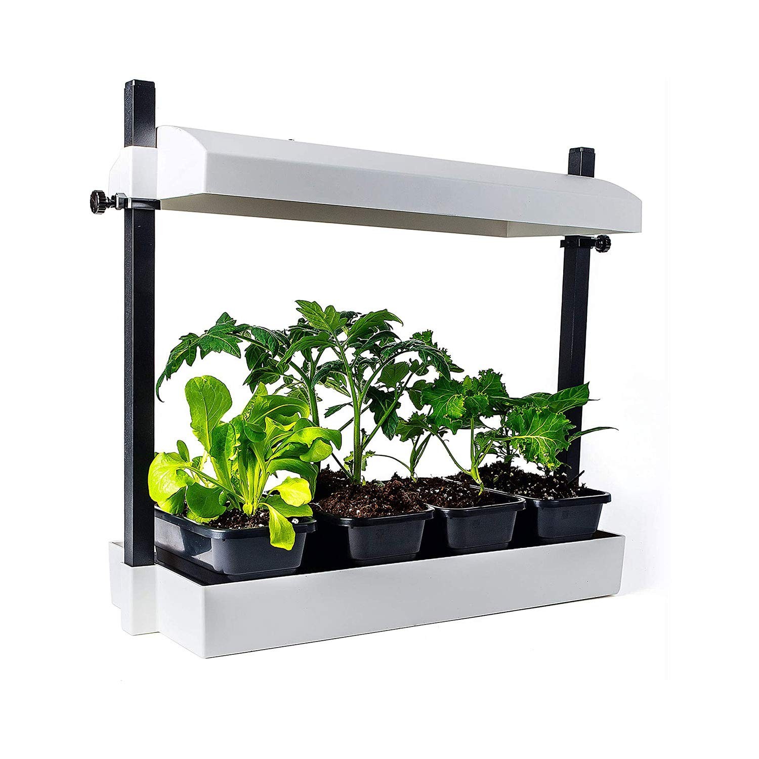 Sunblaster Sl1600219 Led Indoor Micro Growlight Garden Homegrowing Kit White