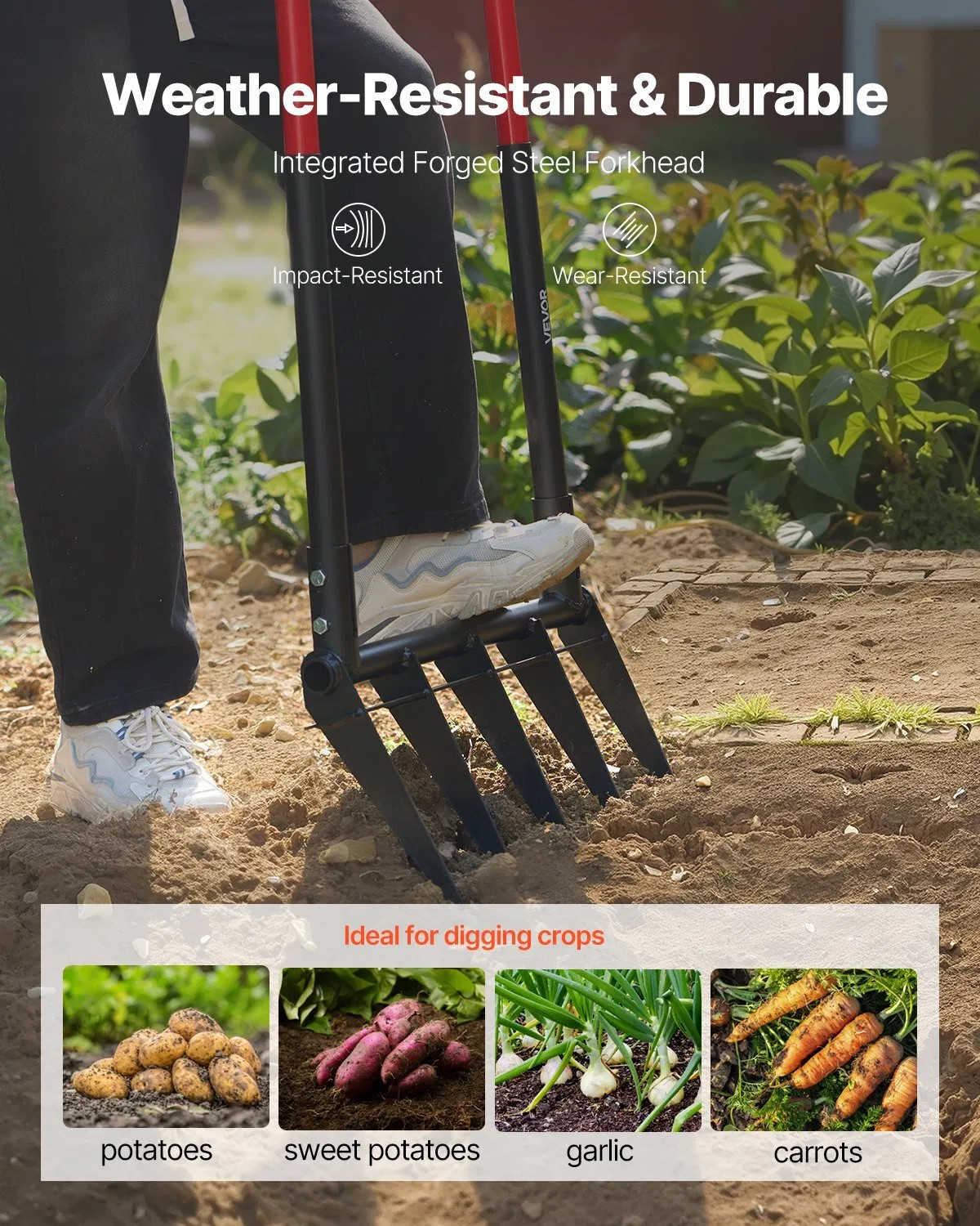 Broad Fork, 5-Tine Pitchfork with Dual Fiberglass Handles, Heavy Duty Garden For