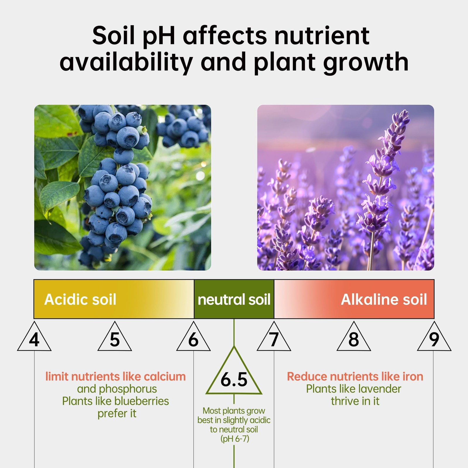 AAwipes Soil pH Test Kit (3.5-9 Range) 100 Strips Soil pH Tester for Acidity …