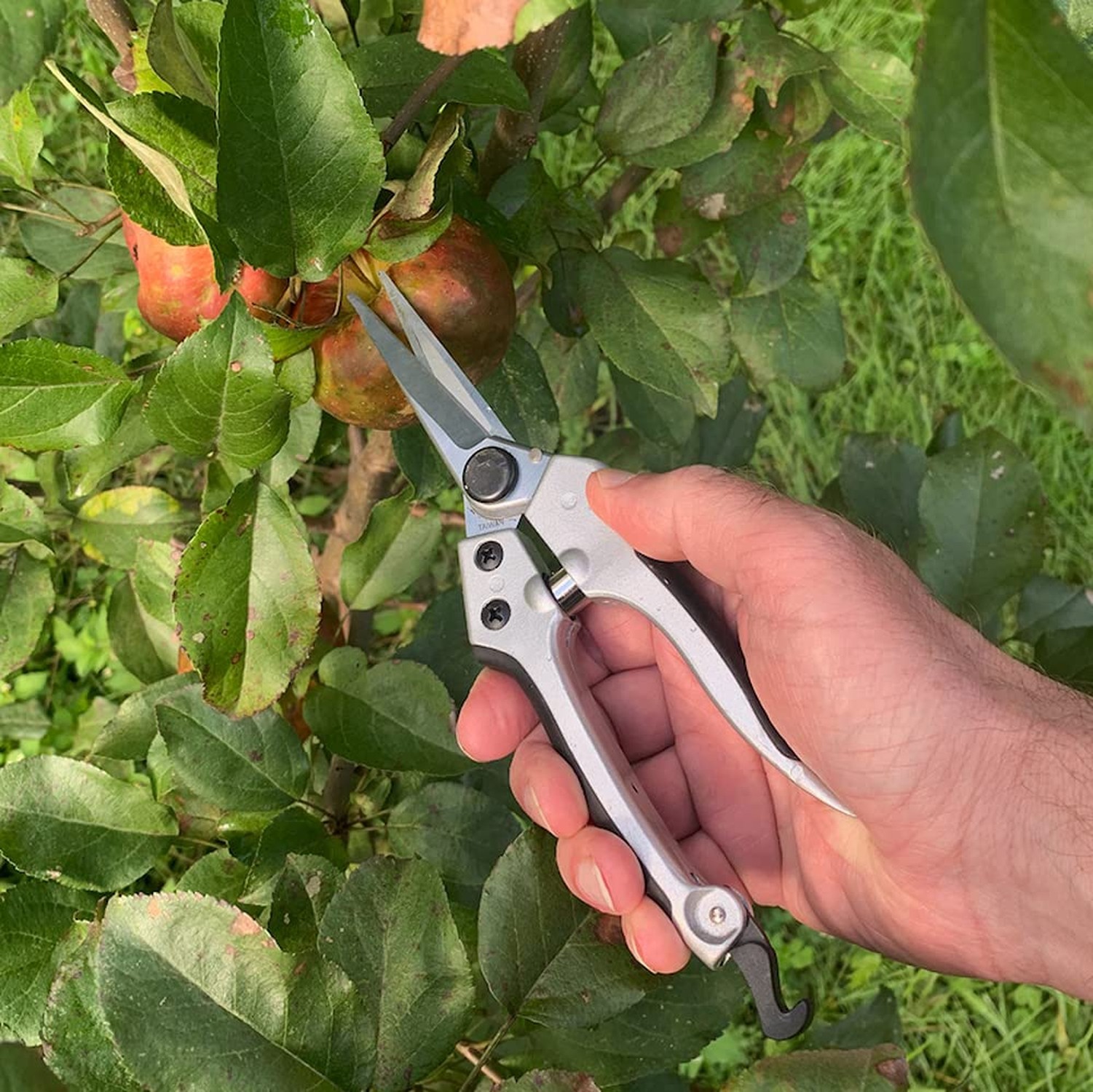 Kings County Tools Hand Gardening and Landscaping Pruner Tool Set | Wet Wood …