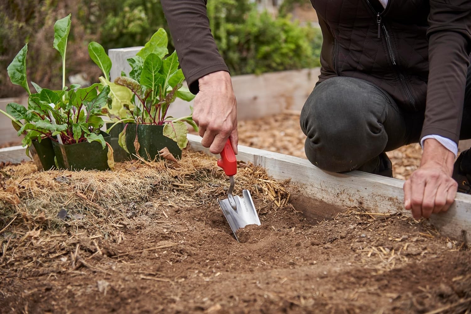 Tools Premium Stainless Steel ComfortGEL Garden Trowel – 13-1/2-Inch
