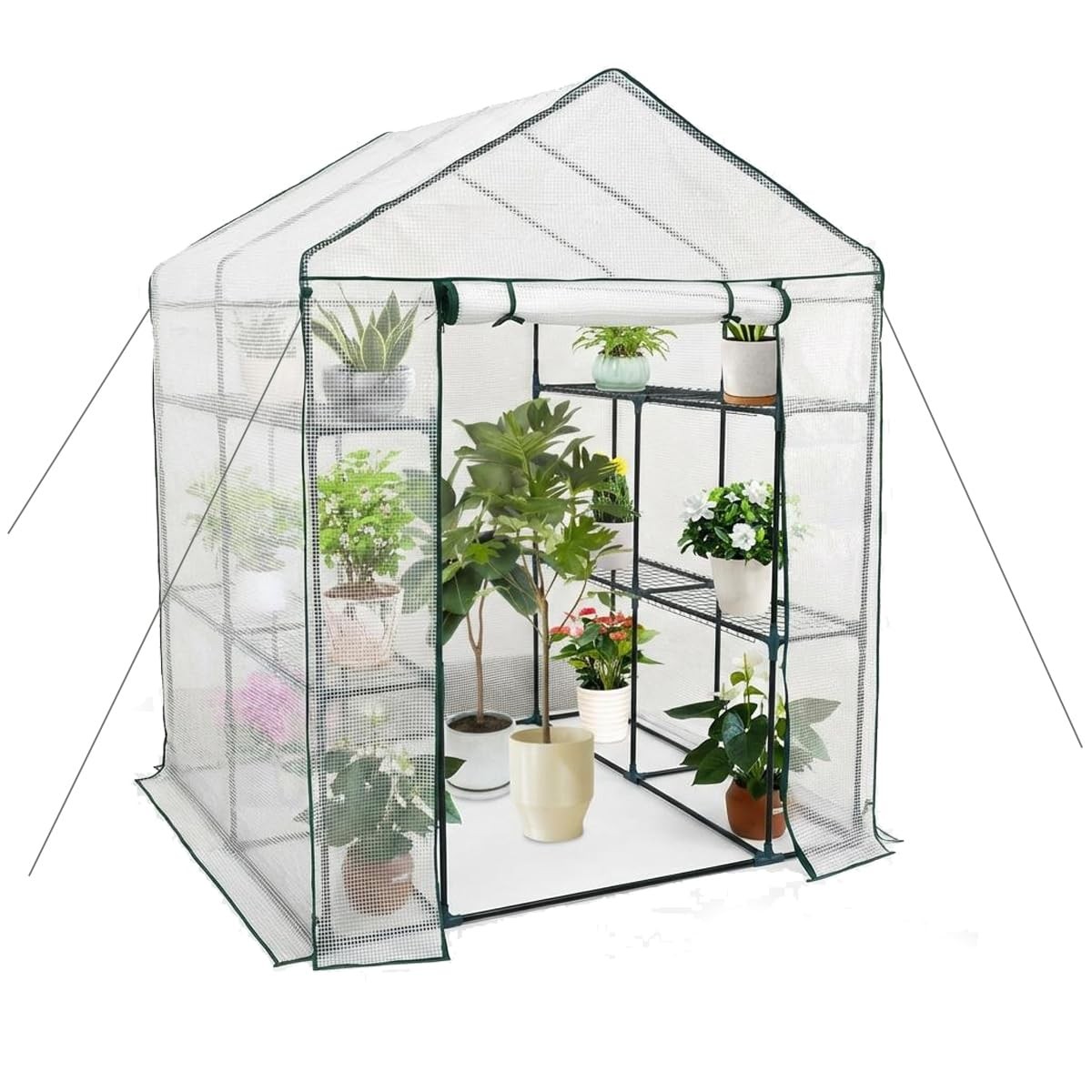 Activetrail Walk-In Greenhouse 8 Shelves 4.7X4.7X6.4 Outdoor All-Season Plant