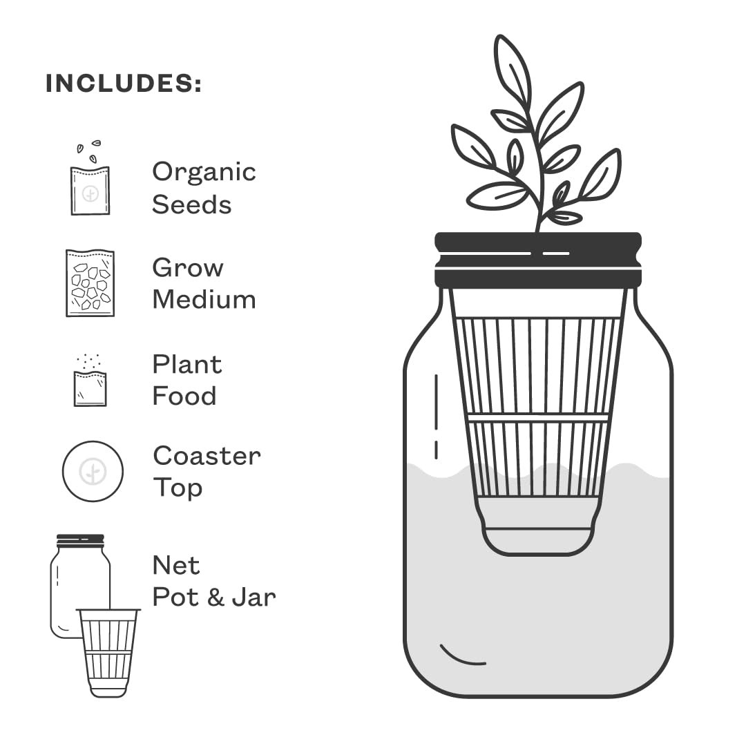 Modern Sprout Mason Garden Jar – Growing System Kit W/Organic Herb