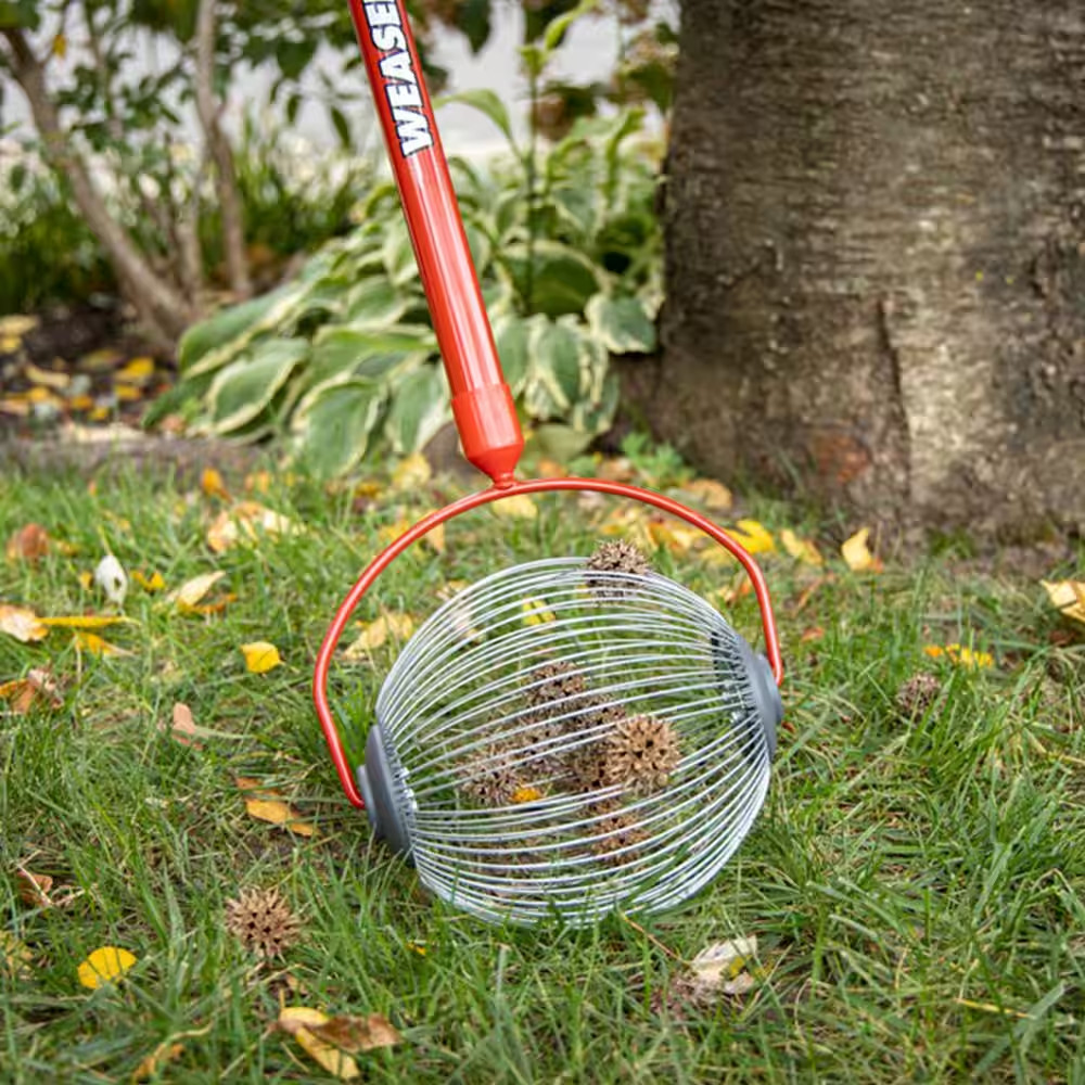 Garden Weasel 48 in Weasel Medium Nut Gatherer with Smooth Rolling Cage 95314 H