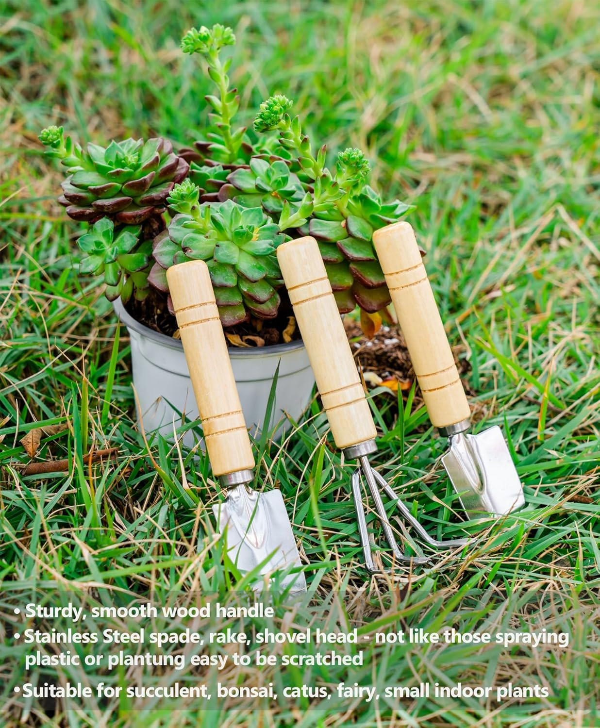 Plant Repotting Mat, 5Pcs Succulent Tools Mini Garden Small Gardening Tools Indo