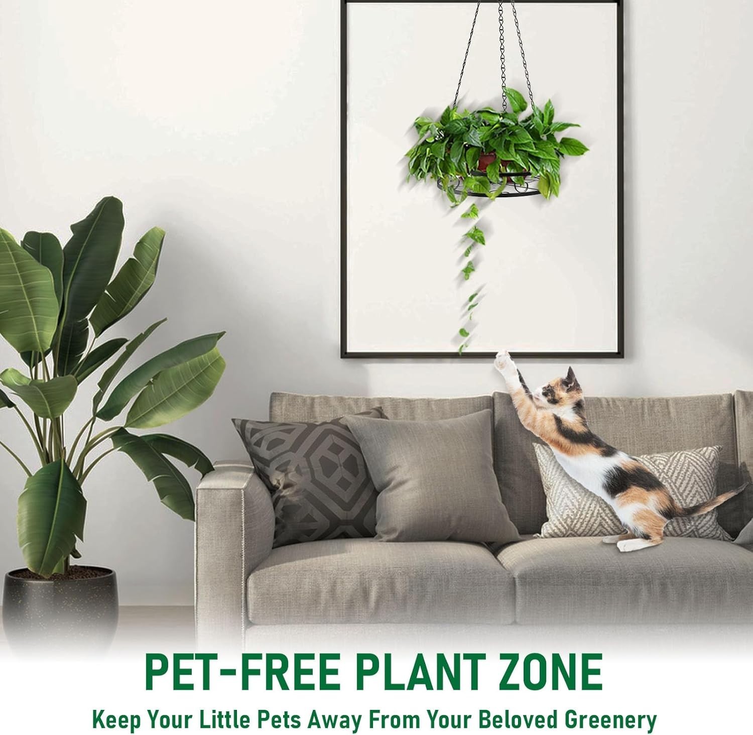 2-Pack Hanging Planters for Indoor Plants – Heavy Duty Metal Plant Hanger Indoor