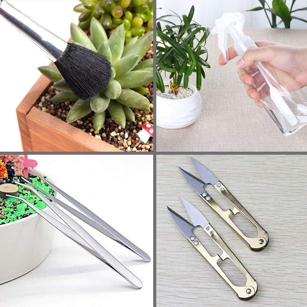 Thoughtful Gift: 5-Piece Portable Succulent Plant Tools Set for Garden Lovers
