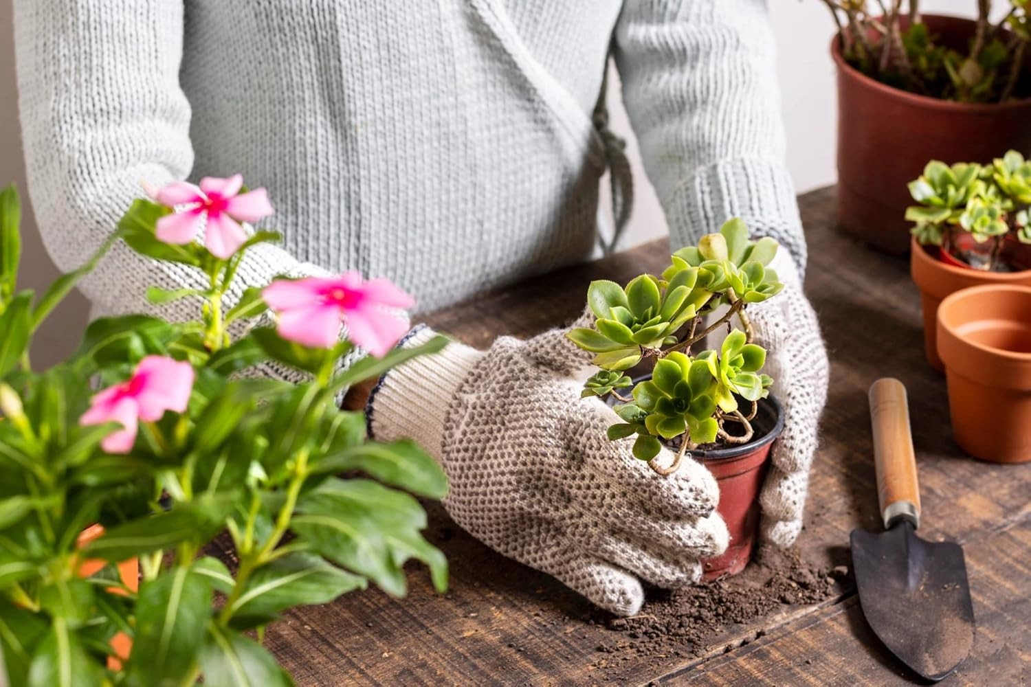 Mini Gardening Kit, Pruning Scissors, Plant Care Tools for